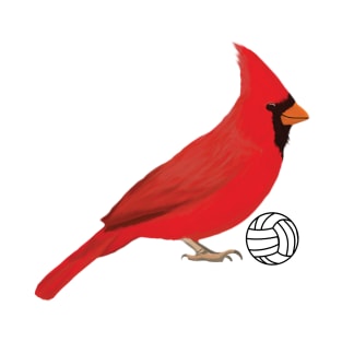 Volleyball Cardinal T-Shirt