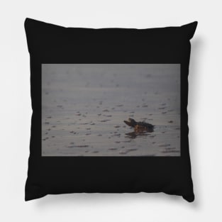 Hatchling II Pillow