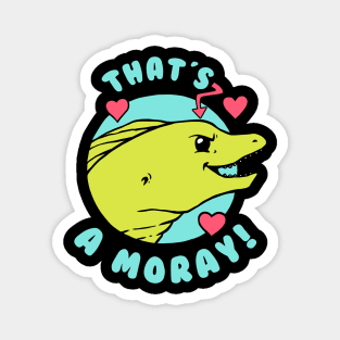 That's A Moray Magnet
