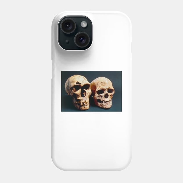 Neanderthal and Cro-Magnon 1 skulls (E438/0005) Phone Case by SciencePhoto