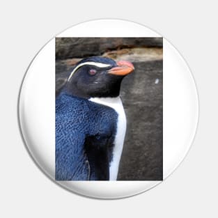 Fiordland Penguin Pin