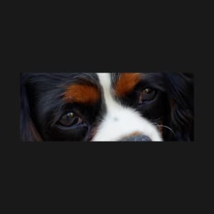 cavalier king charles spaniel black and white eyes T-Shirt