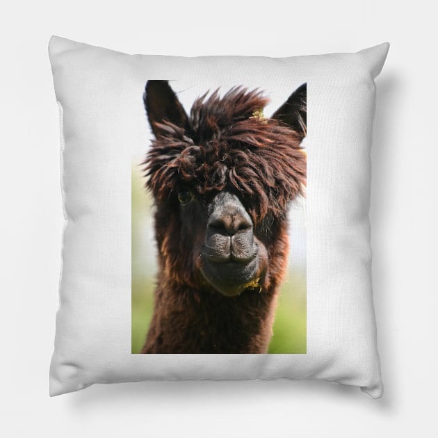 Alpaca Pillow by Furtographic