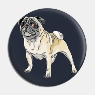 angry dog fawn pug breed Pin