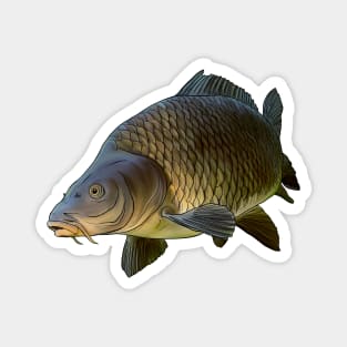 Carp 1 Magnet