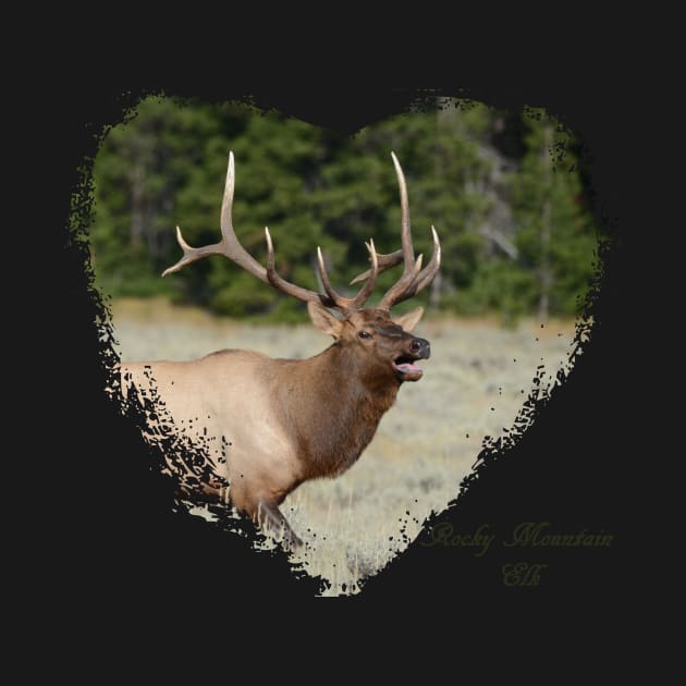 Rocky Mountain Elk - Heart Shape by Whisperingpeaks