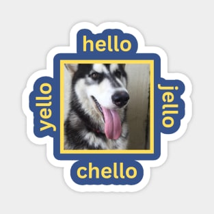 Husky Dog Tongue Yellow Hello Chello Jello Magnet