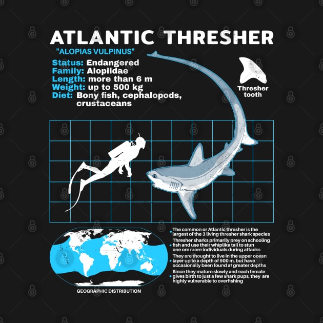Thresher Shark Fact Sheet by NicGrayTees