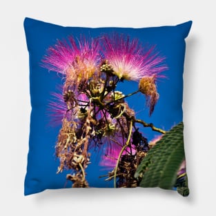 French flowering Mimosa Pillow