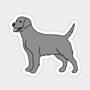 Silver Labrador Magnet