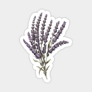 Lavender Plant Branch Elegant Magnet