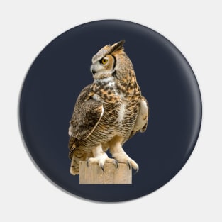 The great owl Pin