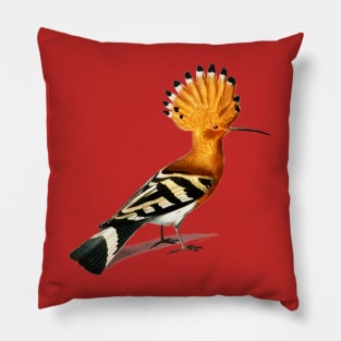 Vintage huppe commune bird-animalia Pillow