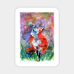 Spring is in the air -red fox Magnet