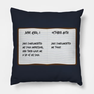 Journal Pillow