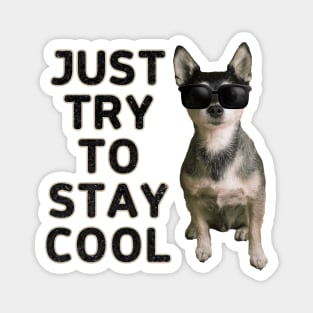 Just try to stay cool Magnet