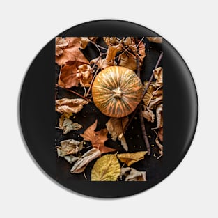 Autumnal background with dried leaves and various fruits Pin