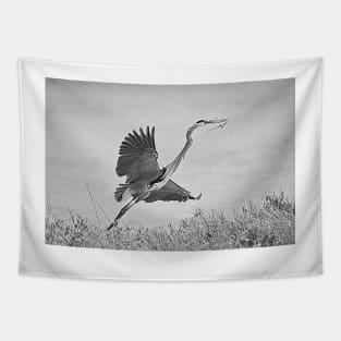 Great Blue Heron Nest Building Time Black and White Tapestry