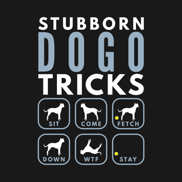 Stubborn Dogo Argentino Tricks - Dog Training by DoggyStyles
