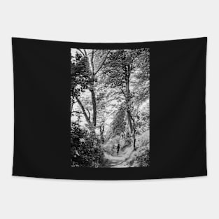 Summer Woods Tapestry