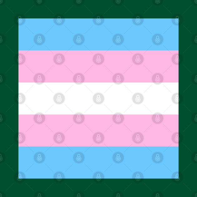 Transgender Flag by Mey Designs
