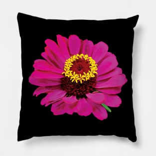 Zinnias - Magenta Zinnia Pillow