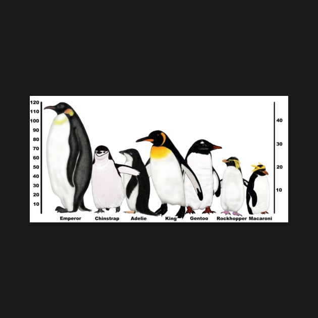 Antarctic Penguins Height by ArtAndBliss