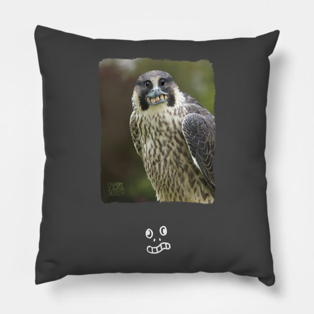 Peregrine Falcon Pillow by Things I Have Drawn