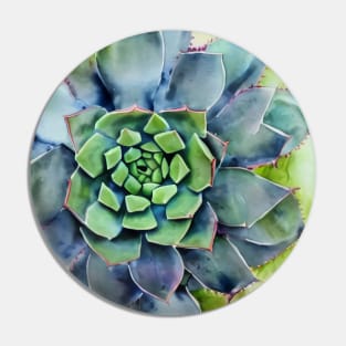 Watercolor succulent Pin