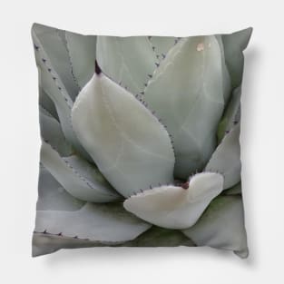 Gray Agave Plant Pillow