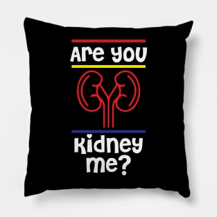 Are You Kidney Me Tshirt Pillow