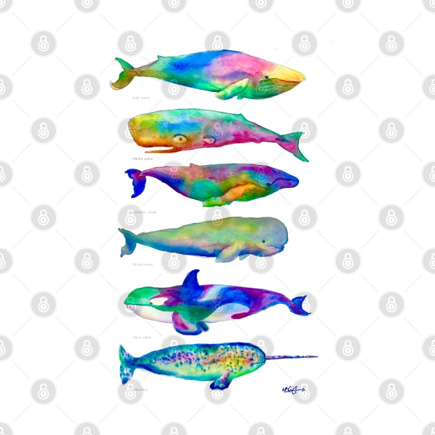 Multicolor Watercolor Whales by CunninghamWatercolors