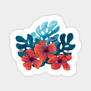 Tropical hibiscus flowers in red Magnet