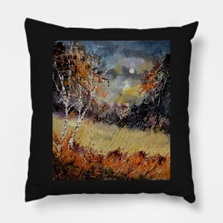 Autumn 2016 Pillow