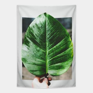 Rainforest Flora Tapestry