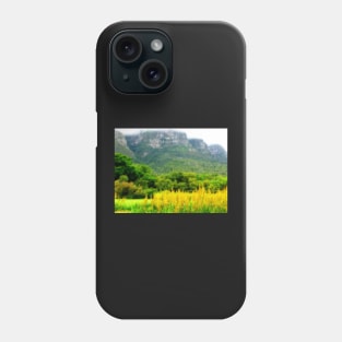 Kirstenbosch National Botanical Garden, Cape Town, South Africa Phone Case