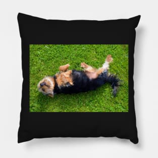 Playful Dog Pillow