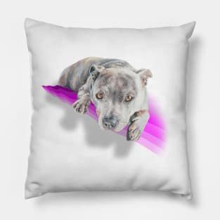 Beautiful blue staffie terrier on a rainbow pink wave! Pillow