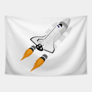 Space Shuttle on a Launcher. Tapestry