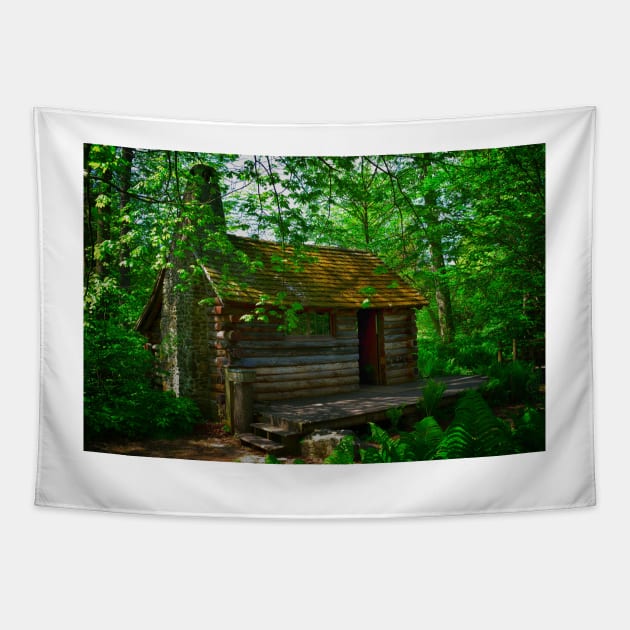 Nestled In The Woods Tapestry by JimDeFazioPhotography