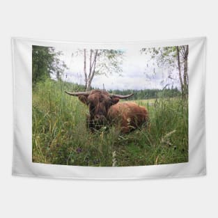 Scottish Highland Cattle Bull 1466 Tapestry