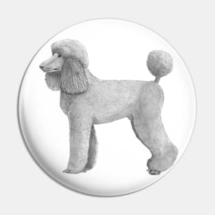 Poodle standard - abricot Pin