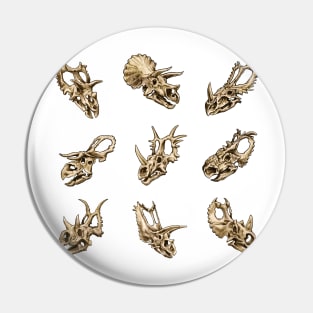 Dinosaur Skull Sticker Set Ceratopsia Pin