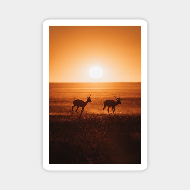 Safari Sunset Magnet by withluke