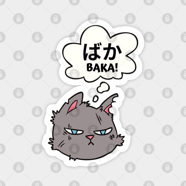 Swearing cat shirt online