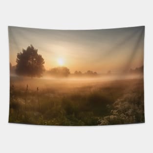 Sunrise over a green meadow fog rises in the summer Tapestry