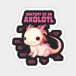 Anatomy Of An Axolotl Magnet