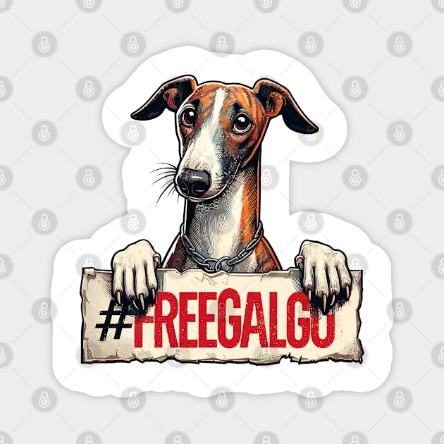 Free Galgo Magnet by aswIDN