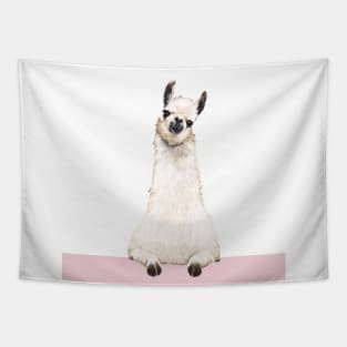 Hi! Llama Tapestry