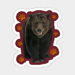 Big Ben, the big brown bear Magnet